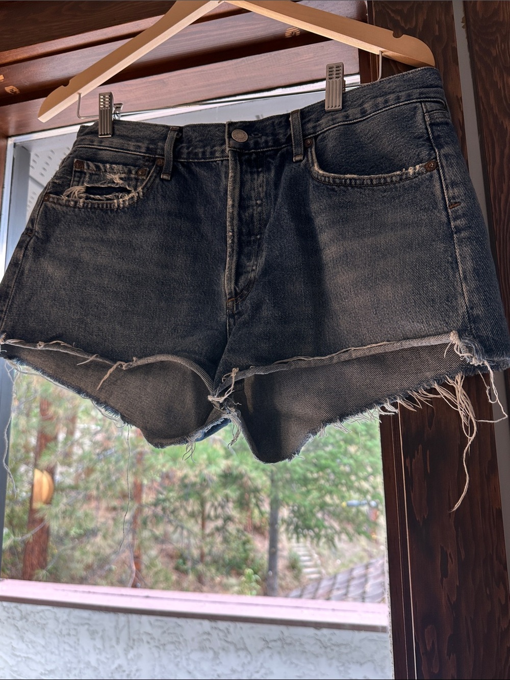 Agolde parker shorts